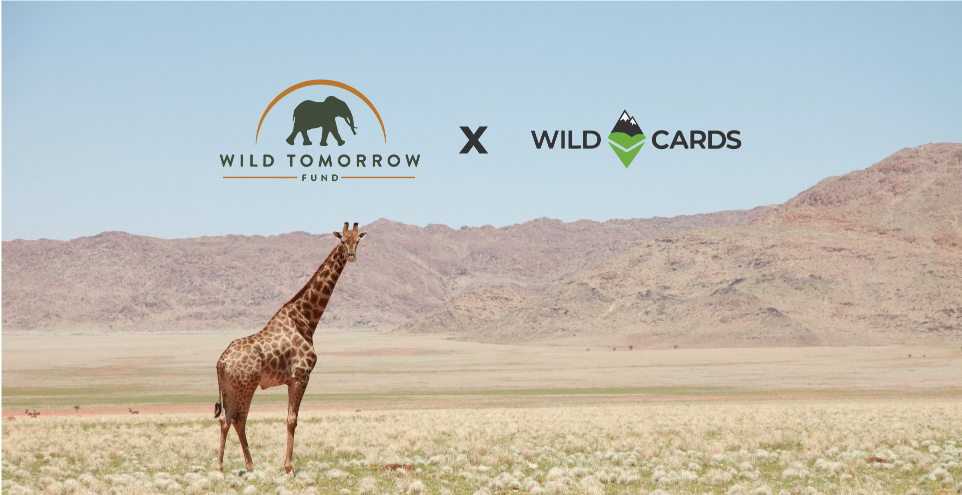 wild tomorrow fund